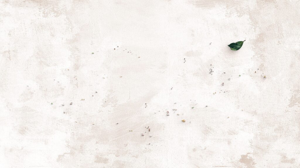 3648cb67 d08a 4166 b6c0 fe7ed8a6b853 副本