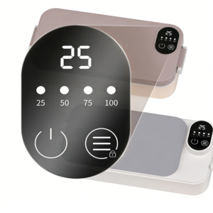 portable rechargeable electric lunchbox