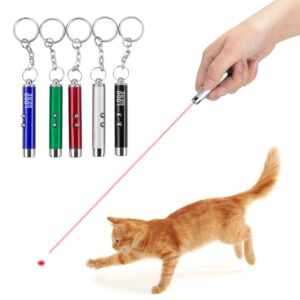 2 in 1 red & white laser pointer led keychain