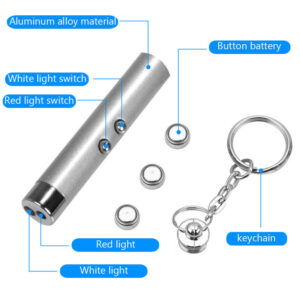 2 in 1 red & white laser pointer led keychain