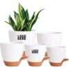 self watering indoor/outdoor plant pot