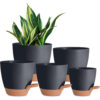 self watering indoor/outdoor plant pot