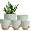 self watering indoor/outdoor plant pot