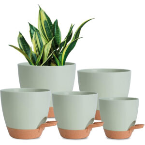 self watering indoor/outdoor plant pot