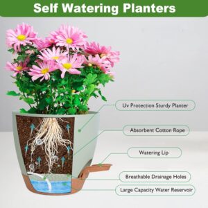 self watering indoor/outdoor plant pot
