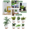 self watering indoor/outdoor plant pot