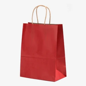 reusable kraft paper bag
