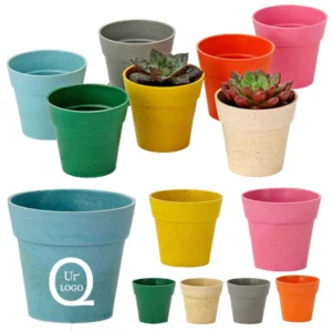 mini bamboo flower pot