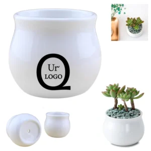 round ceramic succulent planters