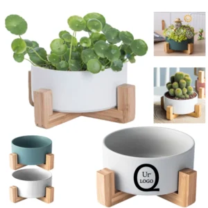 ceramic plant pot